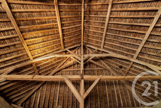 Afficher la photo en grand maison à vendre - 15 pièces - 350.0 m2 - ST PARRES AUX TERTRES - 10 - CHAMPAGNE-ARDENNE - Century 21 Martinot Immobilier