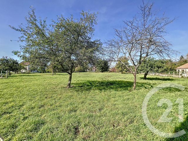 Afficher la photo en grand terrain à vendre - 1392.0 m2 - CHENNEGY - 10 - CHAMPAGNE-ARDENNE - Century 21 Martinot Immobilier
