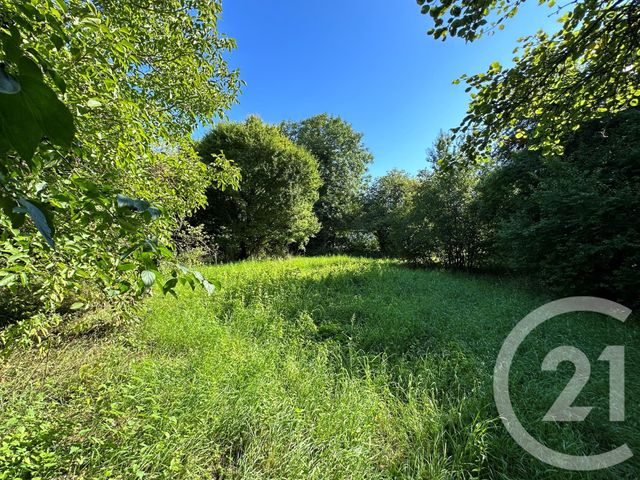 terrain à vendre - 4802.0 m2 - PRECY ST MARTIN - 10 - CHAMPAGNE-ARDENNE - Century 21 Martinot Immobilier