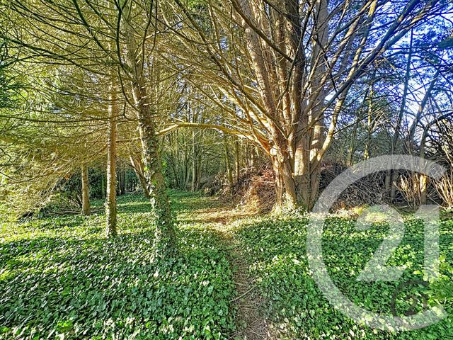 maison à vendre - 4 pièces - 135.0 m2 - BERCENAY EN OTHE - 10 - CHAMPAGNE-ARDENNE - Century 21 Martinot Immobilier