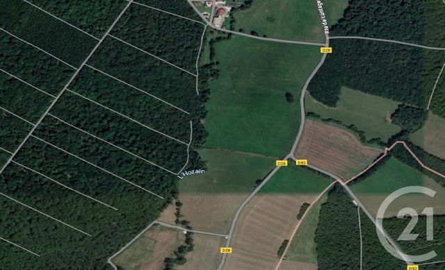 terrain à vendre - 12670.0 m2 - RUMILLY LES VAUDES - 10 - CHAMPAGNE-ARDENNE - Century 21 Martinot Immobilier